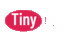 TinyTex 